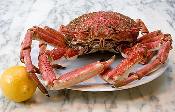crab, dish, food, seafood, crustacean, cooked, meal, tasty, delicious