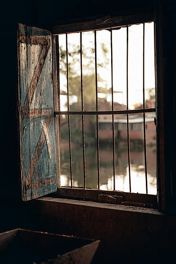 rustic window, calm waters, serene water, trees, open window, window bars, rustic view, peaceful scene, natural scenery, outdoor view, tranquil setting