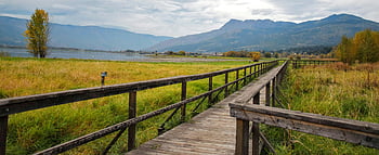 pont en bois marron, champ d'herbe verte, promenade en bois, Bras de saumon, avant JC, prairies luxuriantes, montagnes lointaines, paysage serein, paysage extérieur, sentier de la nature, réglage rural