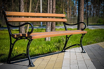 bench, park, grass, garden, seat, tree, green, wood, nature, chair, wooden