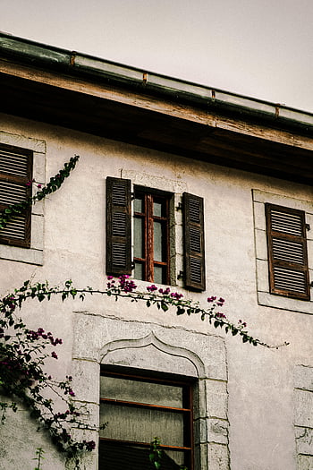 vintage house, rustic facade, wooden shutters, climbing plants, serene atmosphere, charming house, Dubai architecture, old building, vintage windows, rustic charm, town house