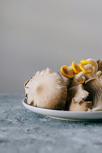 oyster mushrooms, golden oyster mushrooms, fresh harvested, white plate, close-up, textures, table, food photography, gourmet mushrooms, edible fungi, healthy eating