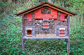 hmyz hotel, hmyz dům, hmyz box, hmyz, včelí hotel, opatření na ochranu proti hmyzu, přírodní rezervace, repelent, Příroda