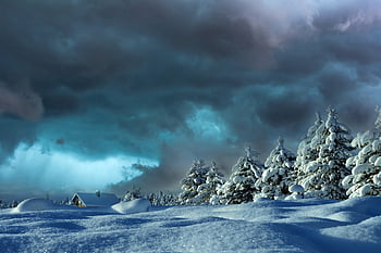 paesaggio, inverno, la neve, cabina, tesoro, nuvole, natura, foresta