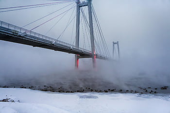 řeka, mlha, sníh, zimní, yenisei, Příroda, mráz, ráno, park, město, voda