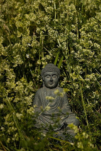 Buddha, socha, sochařství, buddhismus, květiny, náboženství, Příroda, rostlin, květinové pozadí, socha Buddhy, Buddha Purnima