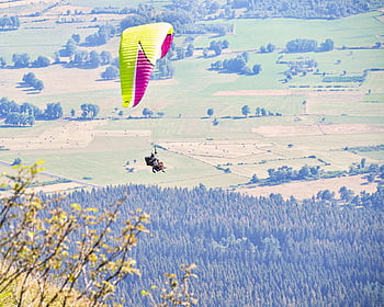 ร่มร่อน, เที่ยวบิน, คู่, สาขา, ที่สามารถมองเห็น, paragliders, กีฬา, ที่เดินทางมาพักผ่อน, กีฬาผาดโผน, กิจกรรมนันทนาการ, ร่มชูชีพ