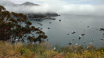 catalina, avalon, νησί, Καλιφόρνια, ακτή, σύννεφα, λιμνοθάλασσα