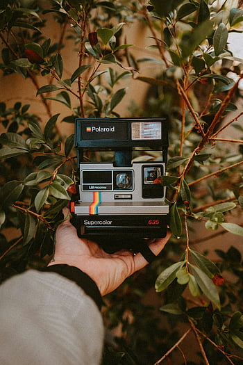 polaroid kamera, retro kamera, Leafy baggrund, Mirassol Brasilien, Håndholdningskamera, vintage kamera, superfarve 635, polaroid superfarve, udendørs fotografering, naturfotografering, Polaroid fotografering