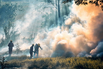 firemen, fire, smoke, rescue, brave, hero, grass Fire, forest Fire, dangerous, job, douse