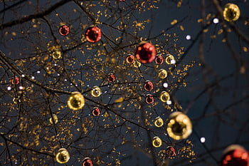 ornaments, trees, lights, balls, celebration, christmas, full Hd Wallpaper, december, Wallpaper, magic, joy