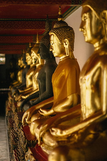 Patung Buddha Emas, ketenangan religius, barisan patung, Patung Buddha, interior kuil, kuil Thailand, patung emas, Seni Spiritual, warisan budaya, Suasana yang tenang