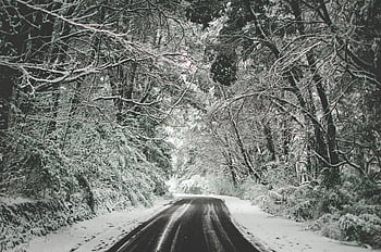 verschneite Straße, Winterszene, schneebedeckte Bäume, Forststraße, Friedlicher Winter, ruhige Straße, Winterlandschaft, verschneiter Wald, Winterwald, schneebedeckter Wald, Winterstraße
