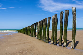 sea, beach, barrier, nature, wood, separation, coast, resort, france, pas De Calais, low Tide