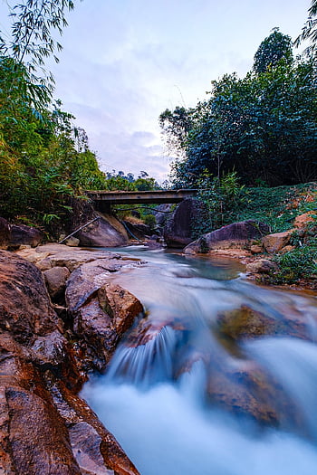 stream, rocks, forest, bridge, water, flow, cascade, creek, river, trees, scenic