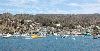 catalina νησί, θάλασσα, Λιμάνι, βάρκες, πόλη, βουνά, ωκεανός, λιμάνι, ακτή, ο ΤΟΥΡΙΣΜΟΣ, ειρηνικός