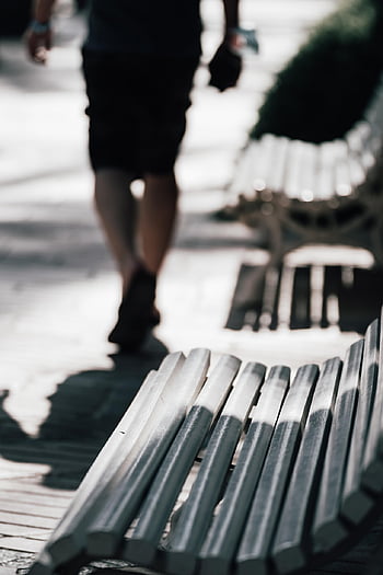 path, road, city, people, to Go For A Walk, park Bench, bench