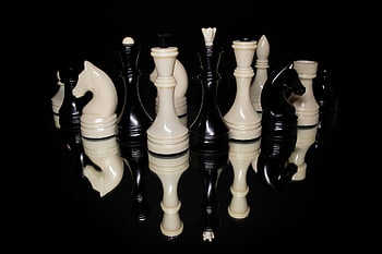 chess, board Game, nature, checkmate, king, queen, chess Pieces, game, board Games, horse, reflection