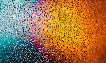 rain Water, Wallpaper, wallpaper Hd, raindrops, droplets, Wallpaper 1920x1080, window, desktop Backgrounds, frost, dews, cool Backgrounds