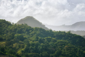 montagna, nuvole, paesaggio, verde, foresta, valle, viaggio, nube, natura, cielo, estate