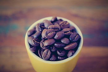 café, tasse de café, Expresso, tasse, boissons, grains de café, des haricots, fragrance, Sentir, délicieux, Pause