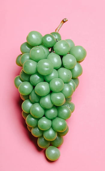 struguri verzi, cluster de struguri, struguri proaspeți, Struguri vibrante, roz fundal, prospețime naturală, struguri mari verzi, grămadă de struguri, roz aprins, Struguri verzi proaspete, struguri naturali