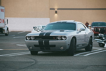 ダッジチャレンジャー、 白と黒、 駐車中、 都市の駐車場、 高級デザイン、 スポーツカー、 スタイリッシュ、 車、 車両、 自動車の、 設計