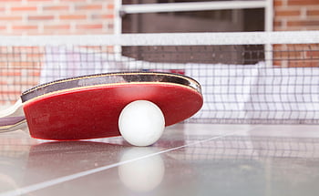 stolní tenis, ping pong míč, červené pádlo, detailní záběr, sportovní vybavení, stolní tenis stůl, bílá koule, Pádlo a míč, stolní tenisový sport, ping pong, sportovní akce