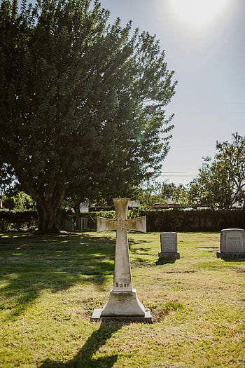 stary krzyż nagrobny, cmentarz, Słoneczna scena, Cross Tombstone, nagrobki, Cmentarz na zewnątrz, drzewo, trawa, nagrobek, memoriał, spokojne otoczenie