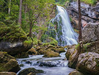 waterfall, golling Waterfalls, flow, rock, stones, forest, trees, nature, landscape