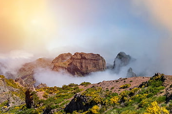 pico ruivo, vrchol, hora, mlha, madeira, Portugalsko, vrcholek hory, summitu, Příroda, krajina, mraky