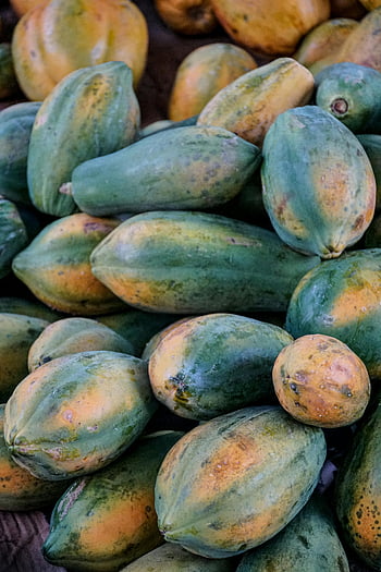 fresh exotic papaya fruits, ripe organic papayas, healthy diet, tropical recipes, vibrant collection, exotic fruits, ripe papayas, organic fruits, tropical fruits, healthy recipes, exotic recipes