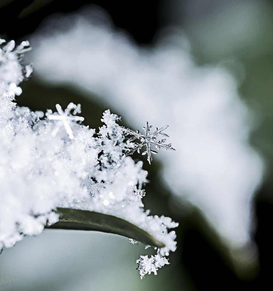 snowflake, winter, cold, beauty, nature, macro, bokeh, 60d, 100mm, f9, snow