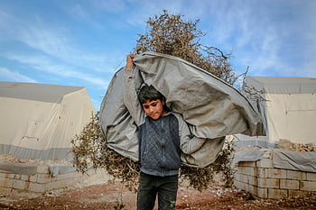 Sýrský chlapec, přenášení větví, uprchlický tábor, Idlib, odolnost, strádání, suché rostliny, Etnický chlapec, mladý kluk, stan, Sýrie