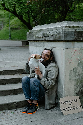 sem-teto, cão, sem -teto e com fome, ruas da cidade, abraço, placa, urbano, pobreza, companhia, vida de rua, pessoa sem-teto