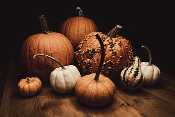 balkabağı, cadılar bayramı, tablo, gourds, hasat, şükran Günü, sonbahar, düşmek, kabak