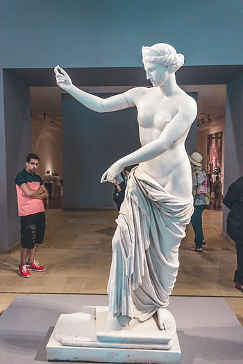 marble sculpture, gallery setting, visitors observing, elegant statue, man looking, art museum, classical art, white marble, cultural exhibit, indoor gallery, art appreciation