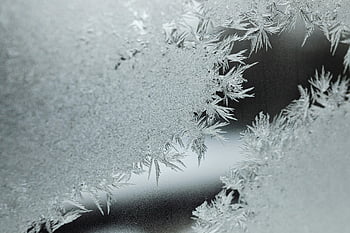 sneeuwvlok, detailopname, macrofotografie, ingewikkelde sneeuwvlokken, Frosted Surface, winter schoonheid, gedetailleerde foto, vorst patronen, ijskristallen, bevroren oppervlak, winters tafereel