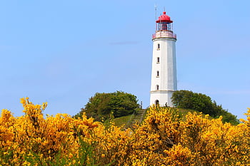 lighthouse, tower, hiddensee, baltic Sea, coast, nature, landscape, spring, light, beacon, architecture