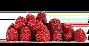 málna, gyümölcs, izolált, élelmiszer, egészséges, vitaminok, táplálék, étkezés, isteni finom, friss, aranyos