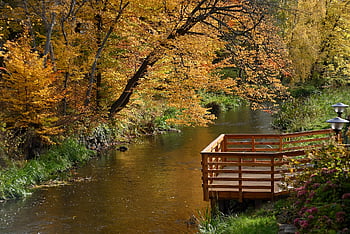autumn, park, nature, river, outside, season, yellow Leaves, water, bridge, colours, colors Of Autumn