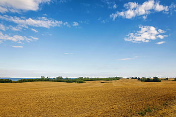 zemědělské půdy, jasné modré nebe, venkovské krásy, rozsáhlé pole, zelené stromy, krajina krajiny, zemědělská půda, přírodní scenérie, venkovní pohled, klidné prostředí, Venkovské prostředí