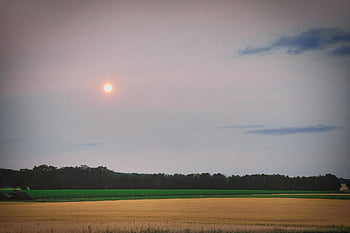 předvečer, pole, les, krajina, doby sklizně, strniště, obilné pole, západ slunce, zářící, opar, mystický