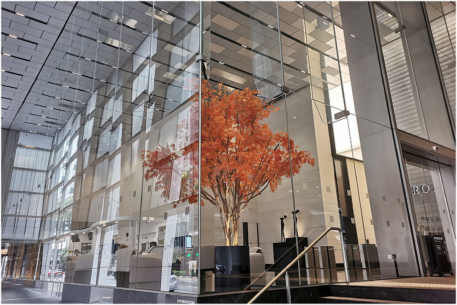 building, architecture, lobby, glass, modern, interior, tree, orange leaves, reflective, design, urban