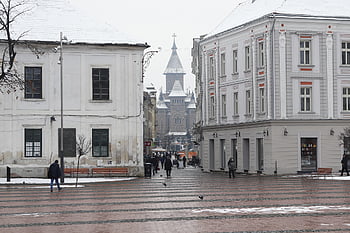 timișoara, timisoara, romania, piata Libertatii, freedom Square, winter, public Square, piata, city, architecture, building