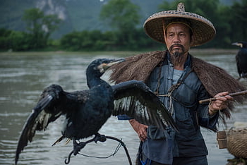 cormorant Fisherman, cormorants, birds, portraits, people, nature, yangshuo, guilin, china