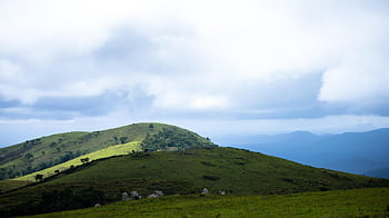 kleurwedstrijd, landschap, Bos, natuur, reizen, exploratie, buitenshuis
