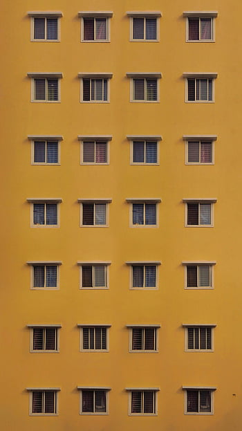 黄色い建物、 対称ファサード、 建築デザイン、 ウィンドウの行、 明るい黄色、 建物の外観、 近代建築、 都市建築、 窓パターン、 対称窓、 建物のファサード