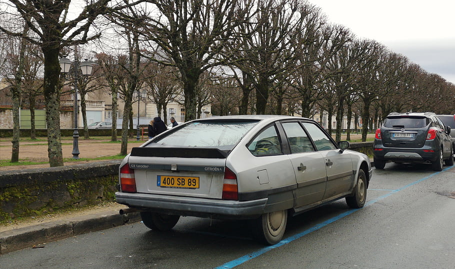 Citroen CX, vůdce, auto, zaparkováno, ulice, stromy, poznávací značka, modrá čára, zpětný pohled, sedan, vinobraní