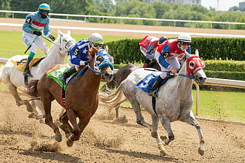 horse race, jockeys, sunny day, thrilling race, competition, outdoor event, racing horses, track racing, equestrian sport, horseback riding, jockey competition